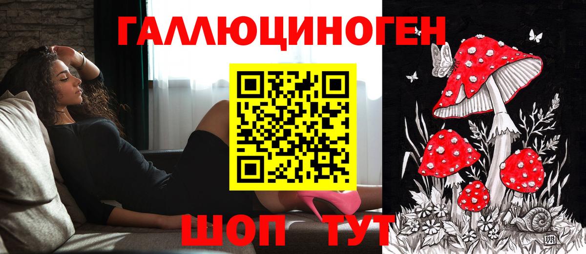 Галлюциногенные грибы прущие грибы Липецк