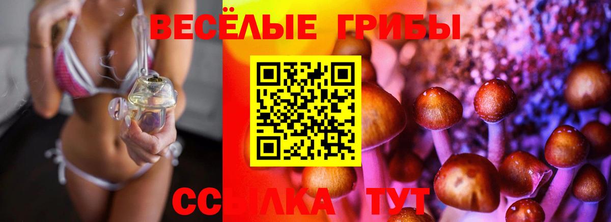 Галлюциногенные грибы прущие грибы  Галлюциногенные грибы мицелий  Вход с VPN  Липецк 
